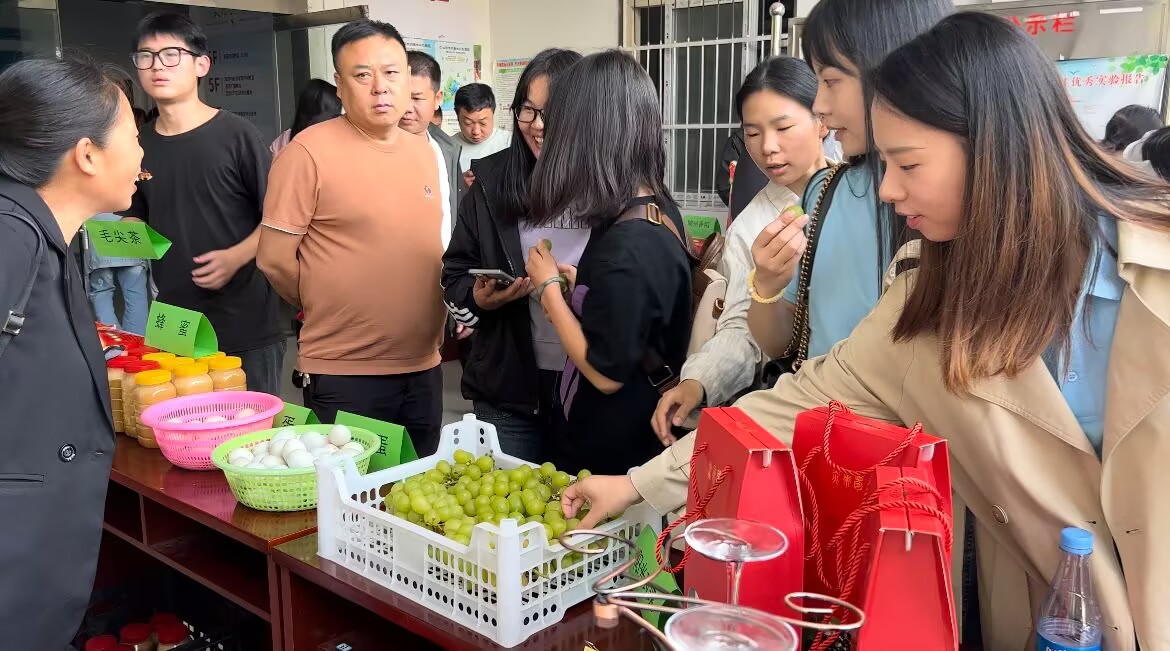 937F01925D7AC44DBFF9043B363BD255